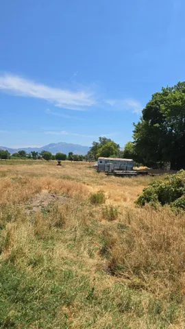 Expansive open land with varied grasses, distant mountain range, and clear sky