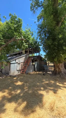 Barn structure with a metal roof and siding, featuring an exterior staircase