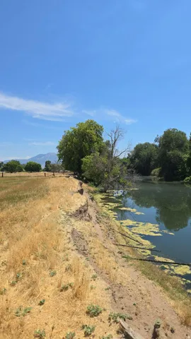 Waterfront property featuring a natural bank and mature trees