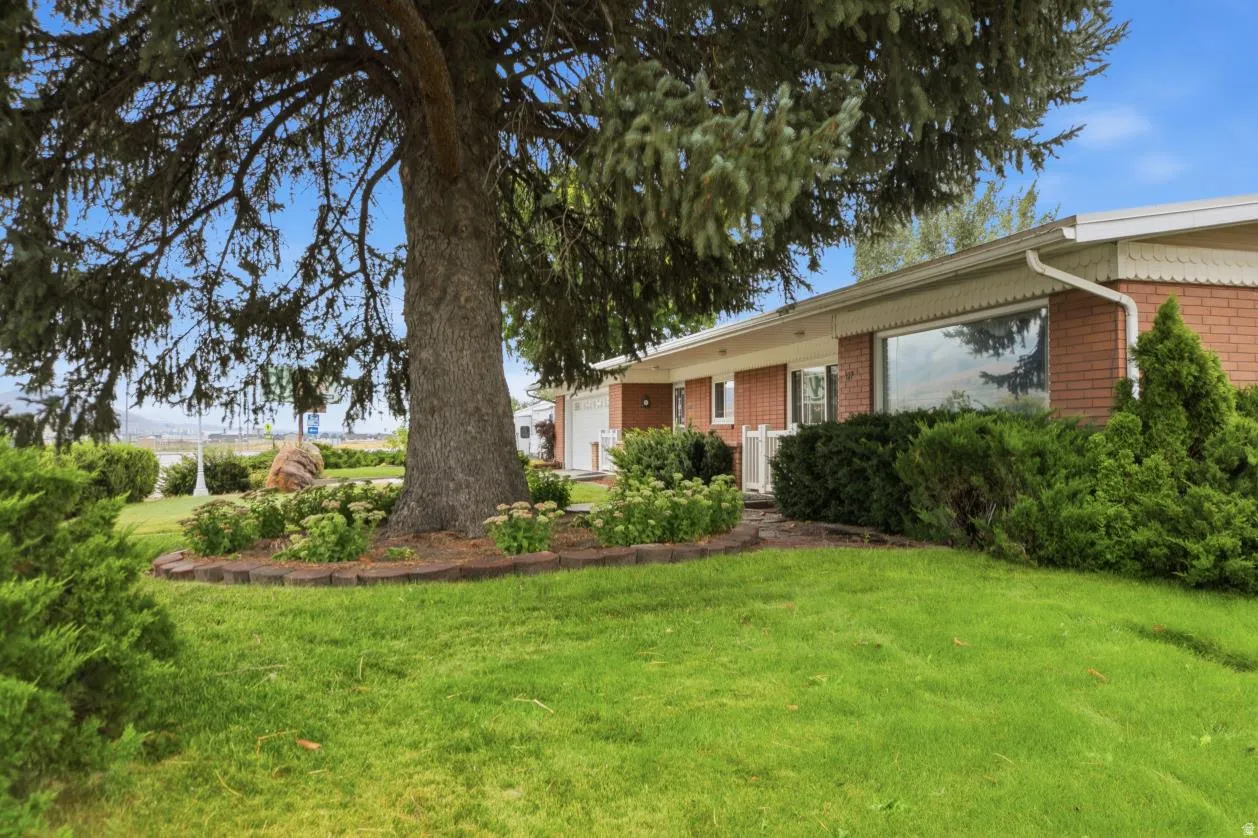 Brick exterior with a large picture window, mature front yard tree, and established landscaping