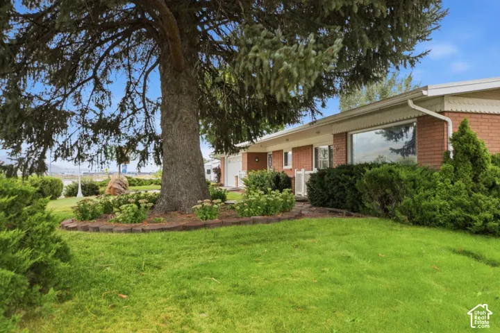 Brick exterior with a large picture window, mature front yard tree, and established landscaping