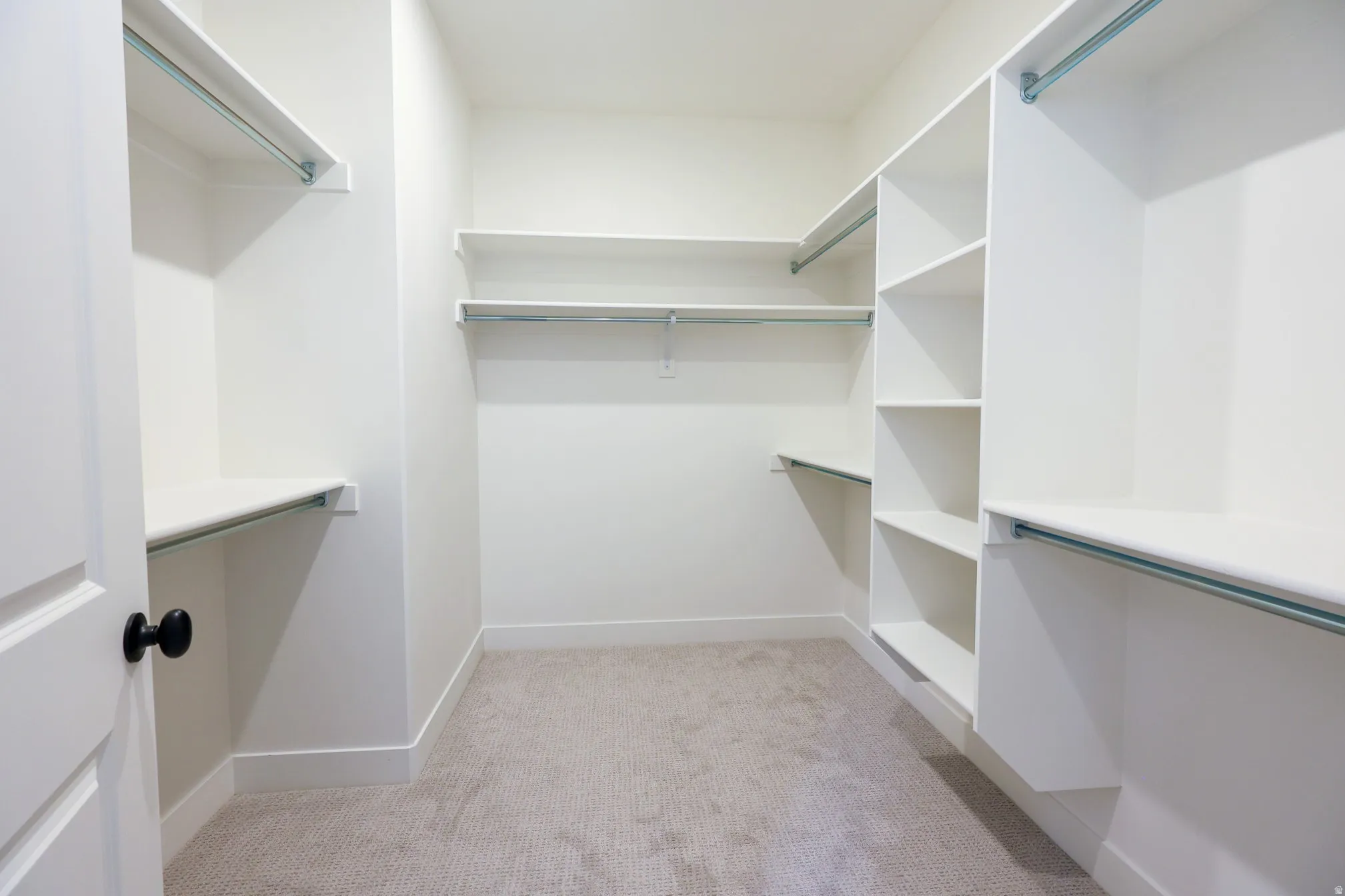 Walk-in closet with carpet flooring, white built-in shelving, and multiple hanging rods
