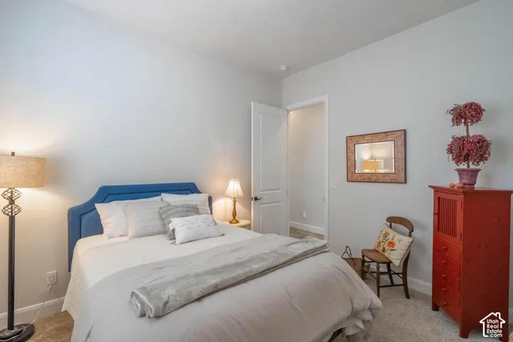 Plush carpeting, light gray wall color, white trim, and a white interior door with a dark handle