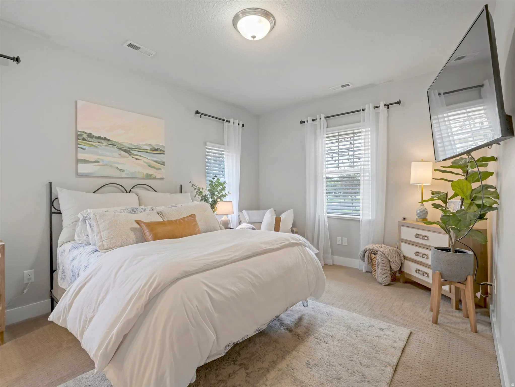 Carpeted room with a ceiling-mounted light fixture, two windows with blinds and curtains, and a wall-mounted television