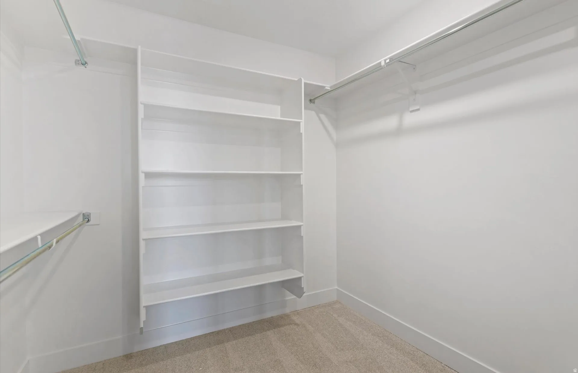 Built-in shelving, hanging rods, and carpeting