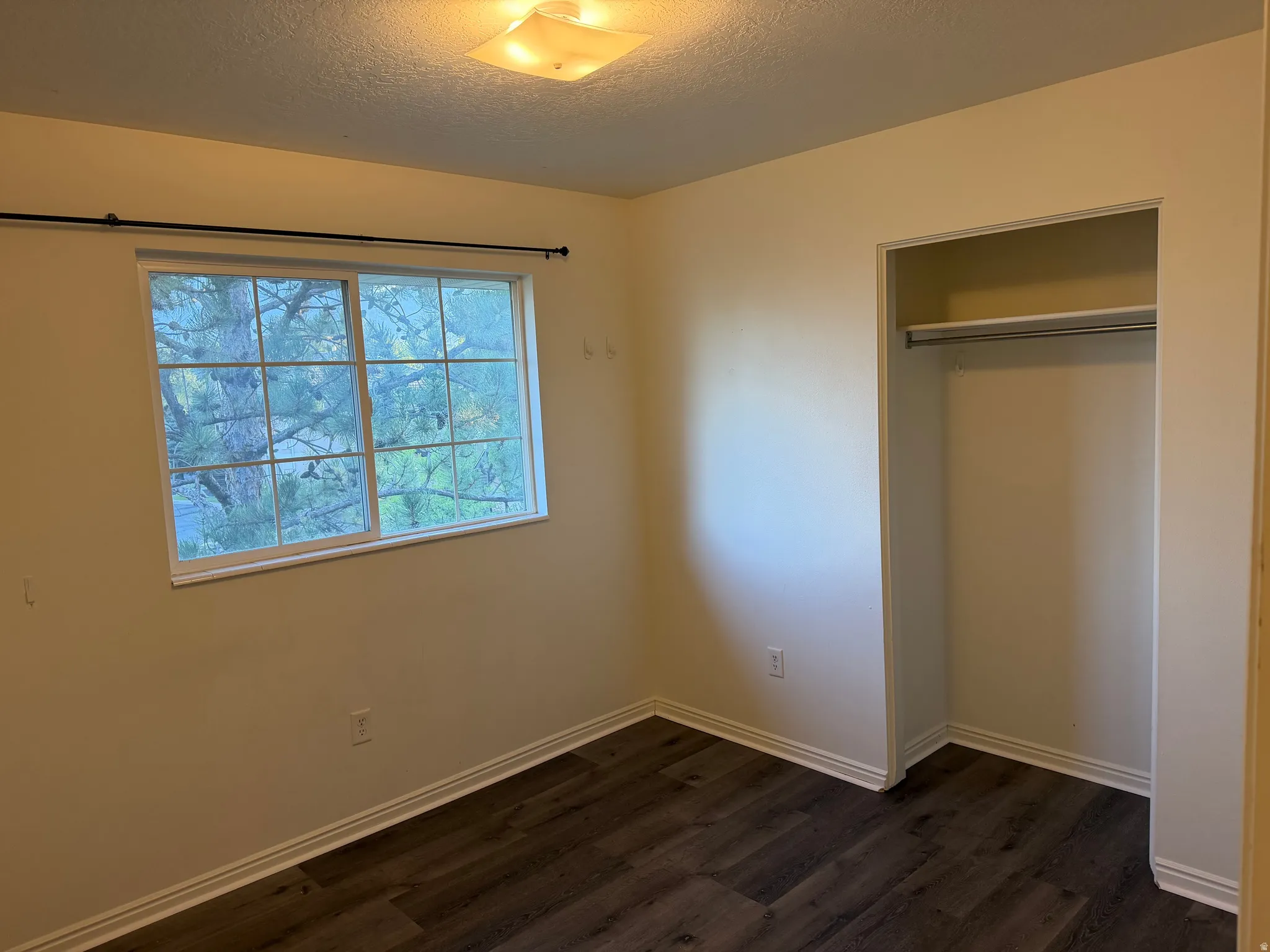 Room featuring wood-finish flooring, a double-paned window, and a built-in closet with a hanging rod