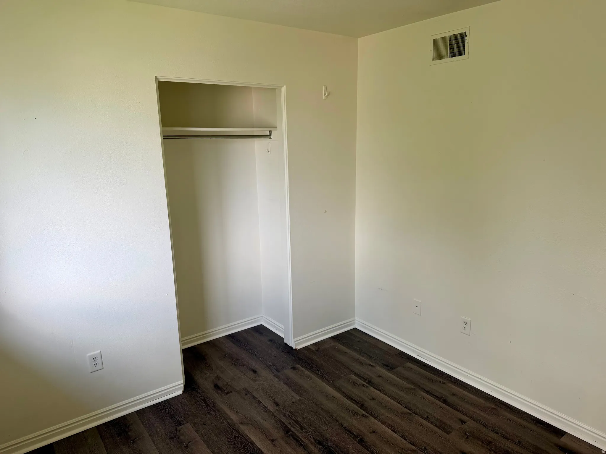 Wood-finish flooring with white baseboards, a built-in closet with hanging rod, and light-colored walls