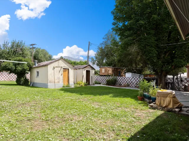 Expansive grass lawn with two storage sheds and mature trees