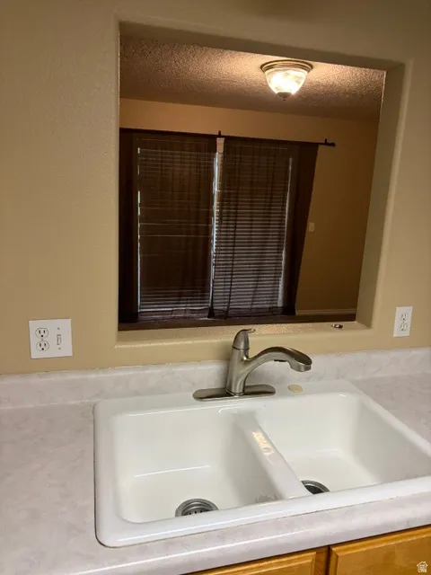 Double basin sink with a brushed nickel faucet and light-toned countertop