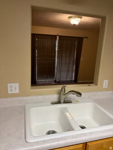 Double basin sink with a brushed nickel faucet and light-toned countertop