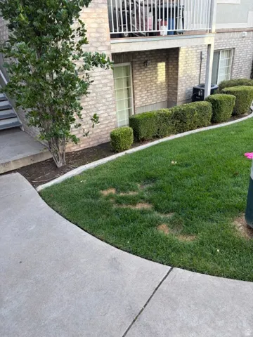 Brick exterior, concrete pathway, manicured lawn, established shrubbery, second-story balcony with white railing