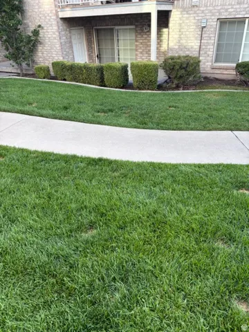 Walk to home