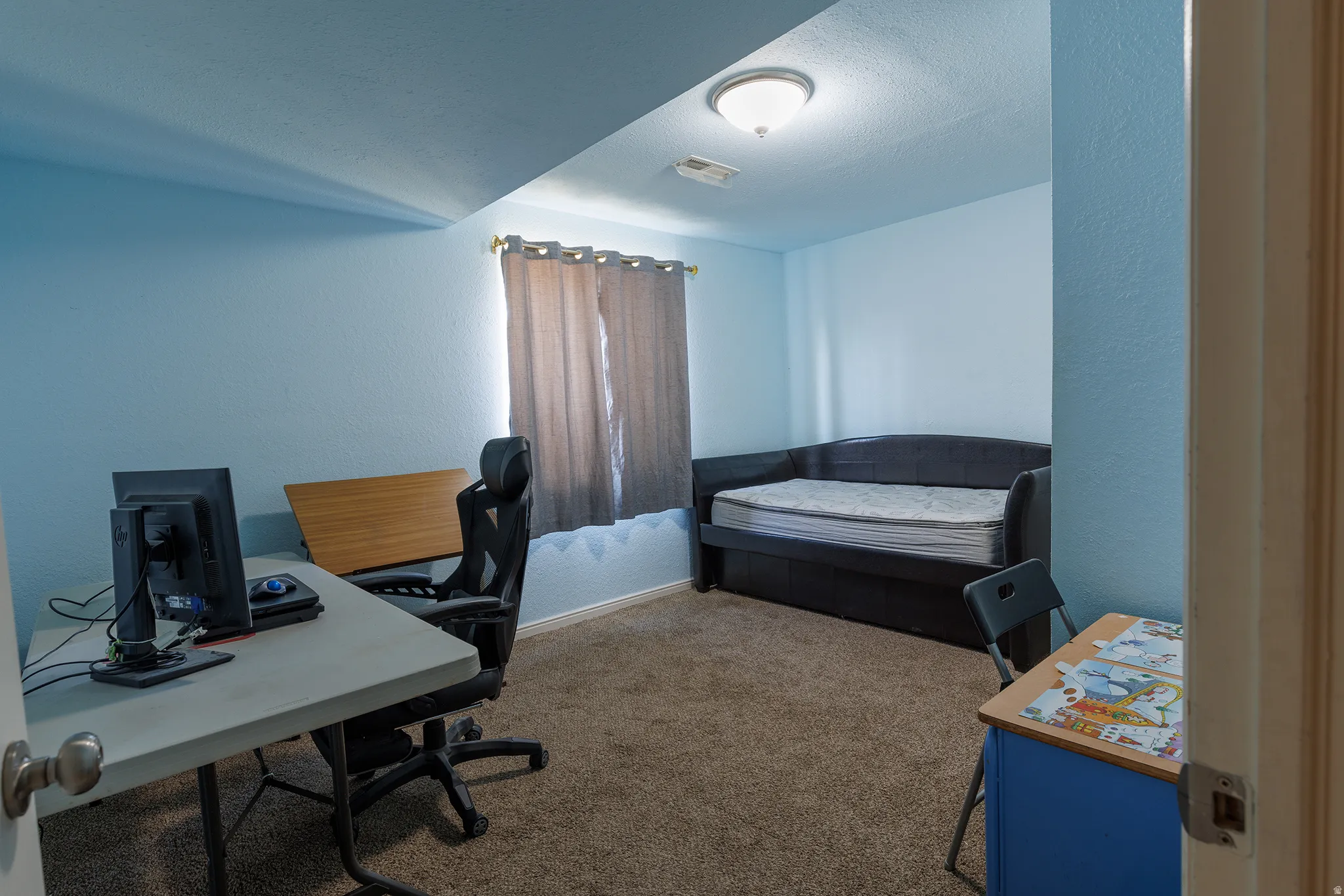Carpeted room featuring a window with privacy curtains and a flush-mount ceiling light fixture