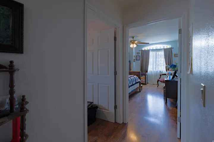 Wood-finish flooring, ceiling fan with light fixture, and arched window