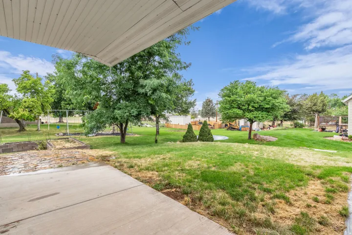 Expansive backyard featuring a concrete patio, mature trees, and a grassy area