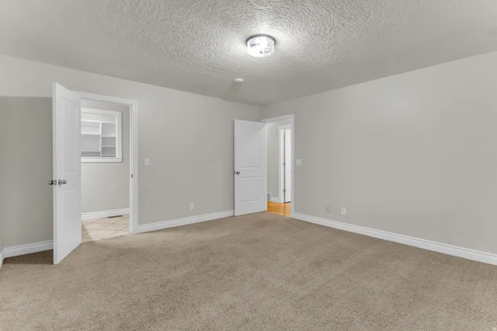 Neutral wall paint, plush carpeting, ceiling-mounted light fixture, white trim, and a white interior door