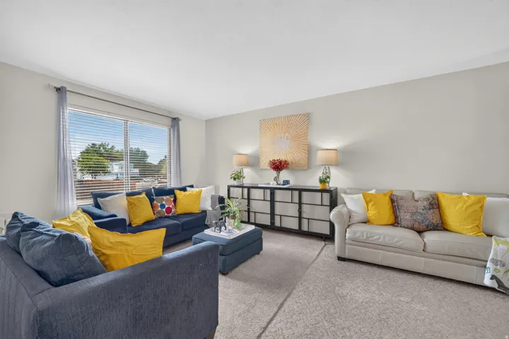 Expansive windows with horizontal blinds, light-toned wall finishes, and a gray textured carpet