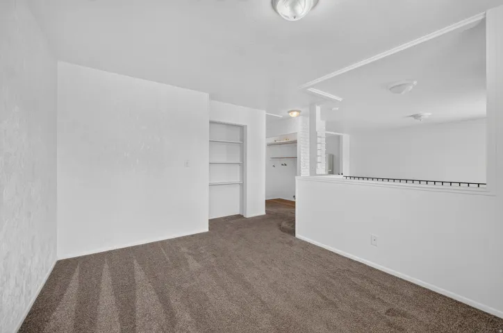 Plush carpet flooring, built-in shelving, white wall finishes, and ceiling-mounted lighting