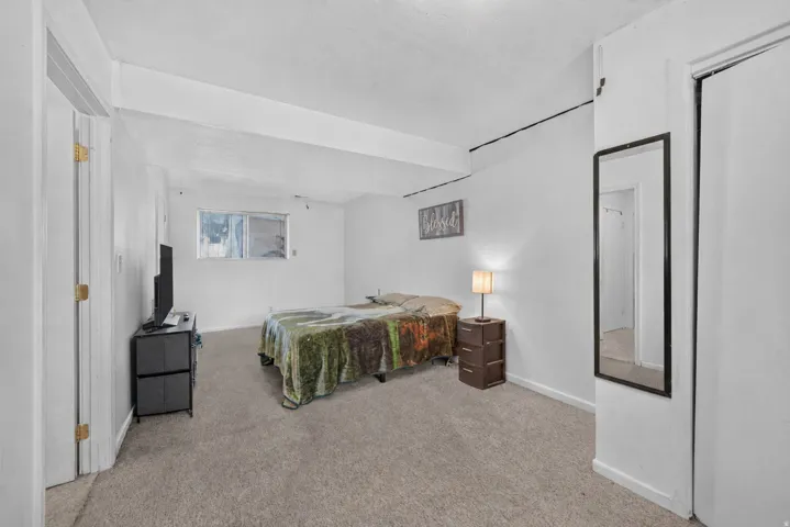 Spacious bedroom featuring neutral wall finishes, carpeted flooring, and abundant natural light from multiple windows