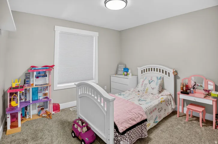 Neutral tone wall paint, flush mount ceiling light, white window trim, cellular window shade, and carpet flooring