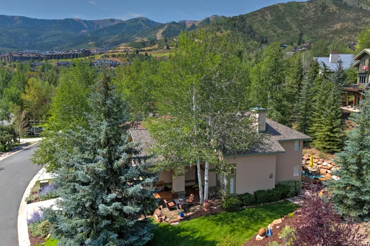 Aerial View of the Home