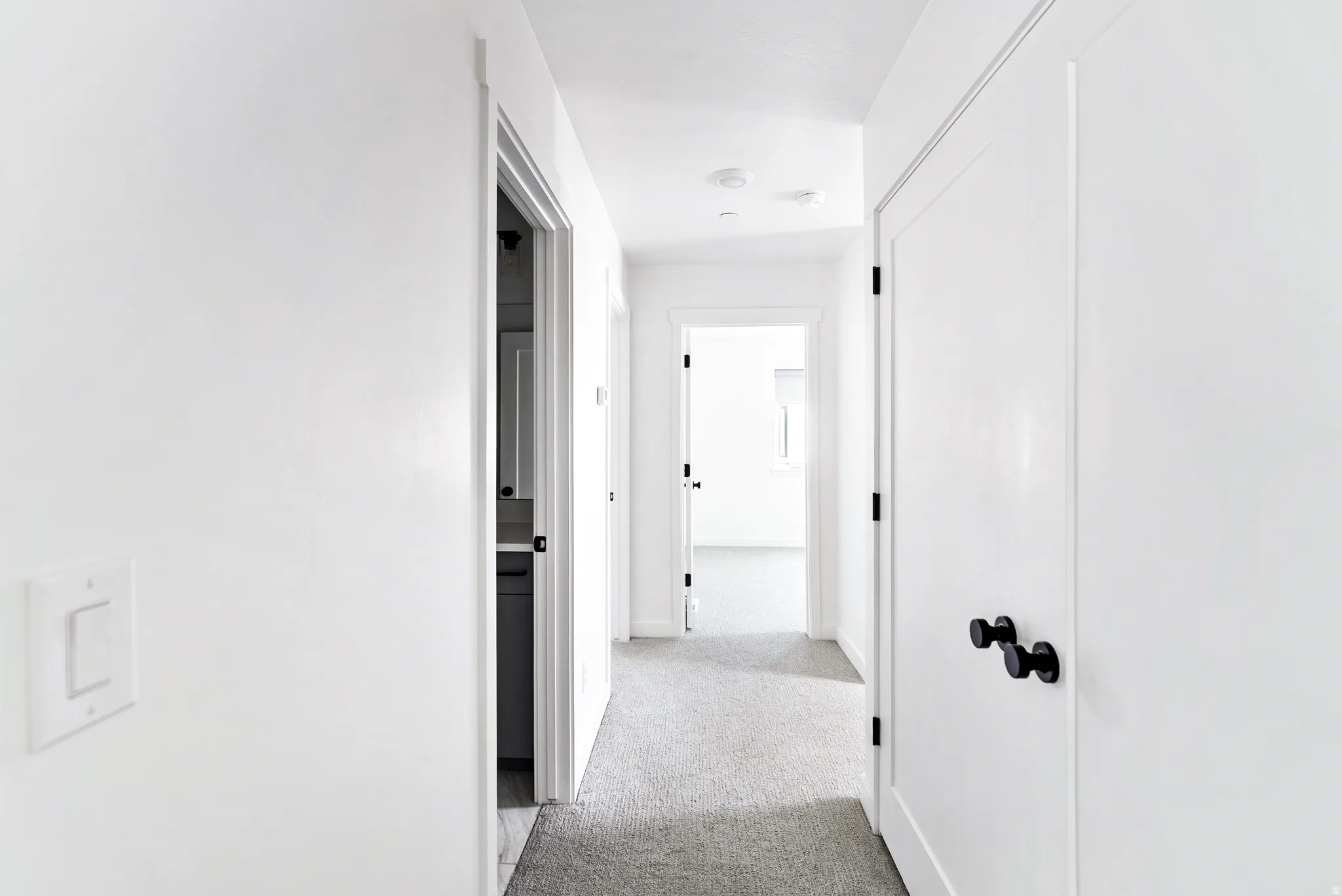 Plush carpeting, white walls, flush-mounted ceiling lighting, and black hardware