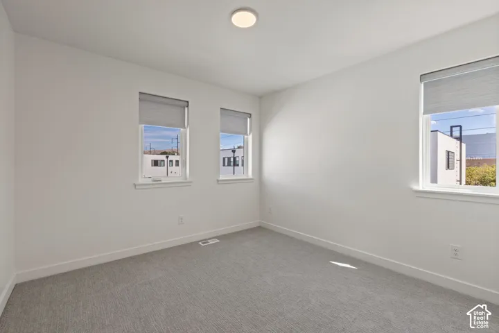 White walls, light gray carpet, multiple windows with blinds, and a flush-mount ceiling light
