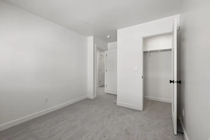 Plush gray carpeting, white painted walls, white trim, and a built-in closet with hanging rod
