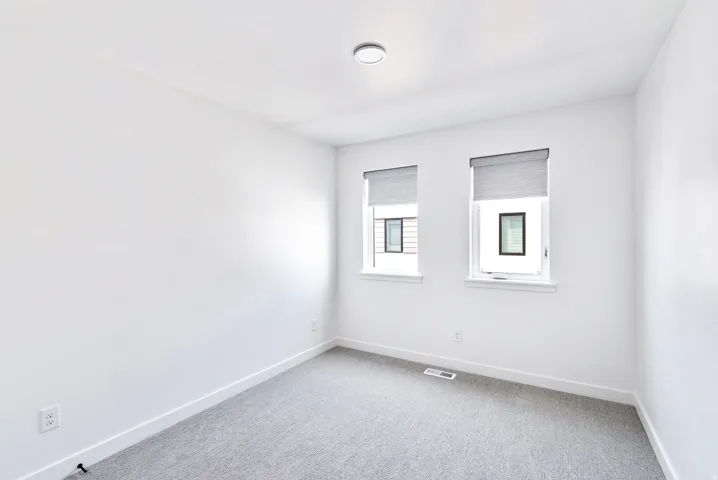 White walls, light gray carpet, two windows with roller shades, and a flush-mount ceiling light fixture