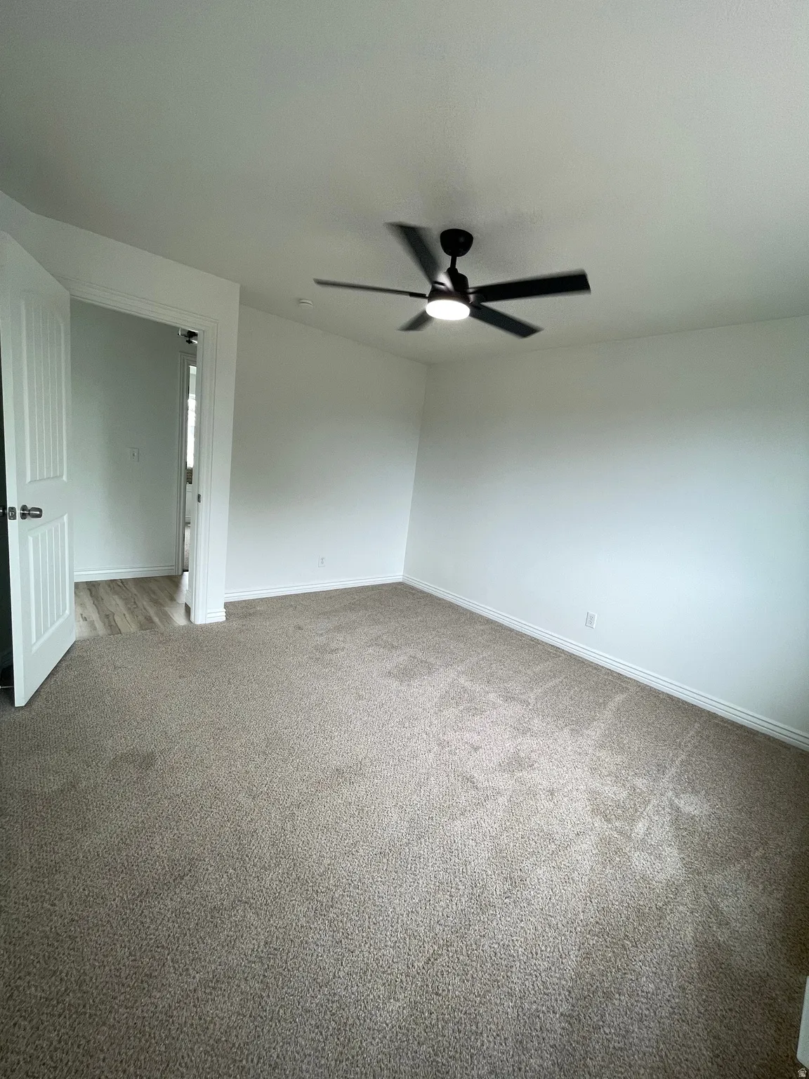 Neutral-toned carpeting with white baseboards, featuring a contemporary black ceiling fan with integrated lighting