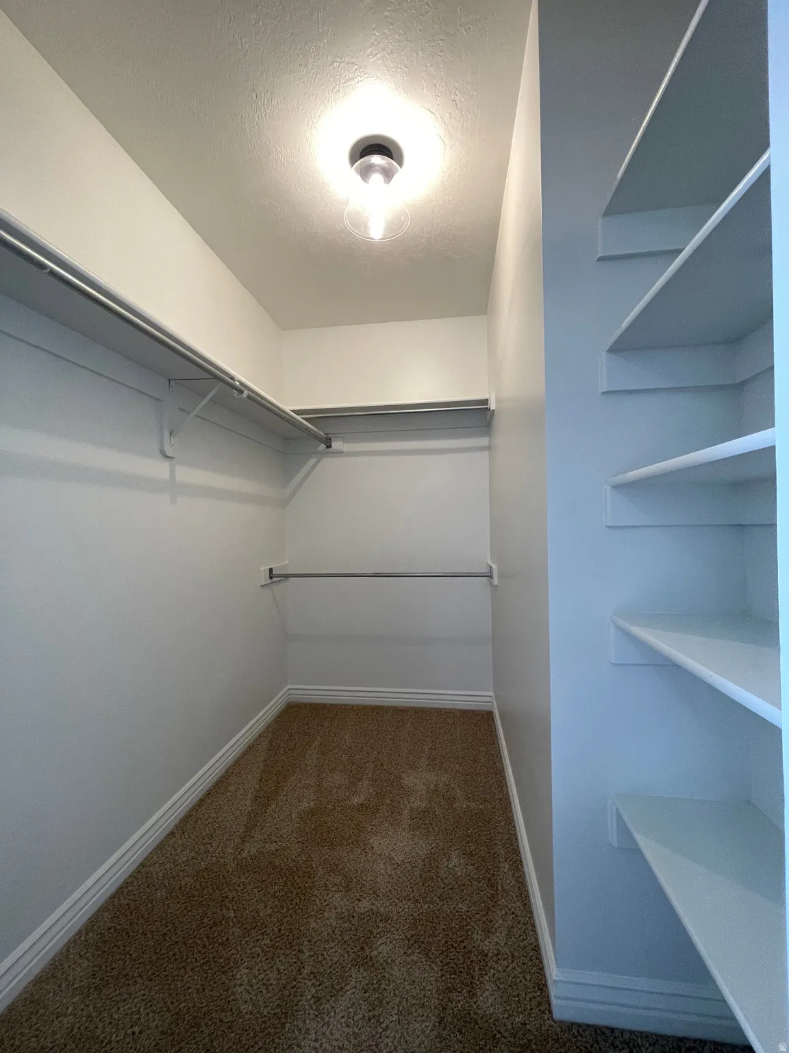 Walk-in closet with carpet flooring, built-in shelving, and hanging rods