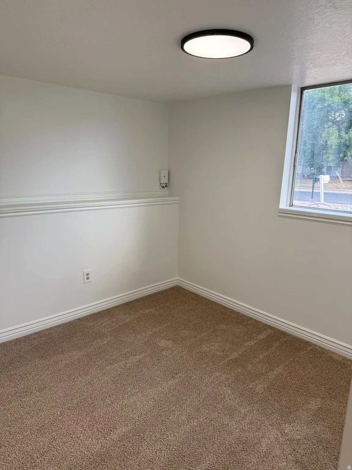 Neutral wall paint, plush carpeting, wall trim, and a flush-mount ceiling light fixture