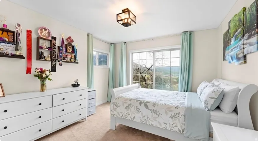 Wall-to-wall carpeting and a ceiling-mounted light fixture with a dark metal frame