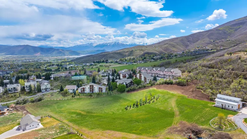 Expansive green landscape with distant mountain ranges and a body of water