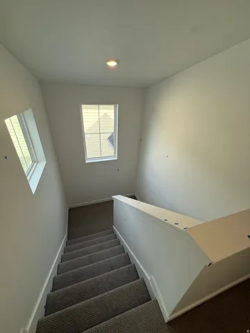 Carpeted staircase with white balustrade, recessed ceiling light, and multiple windows providing natural illumination