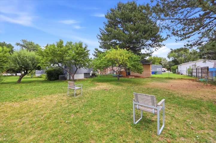 Expansive grassy area with mature trees and a chain-link fence