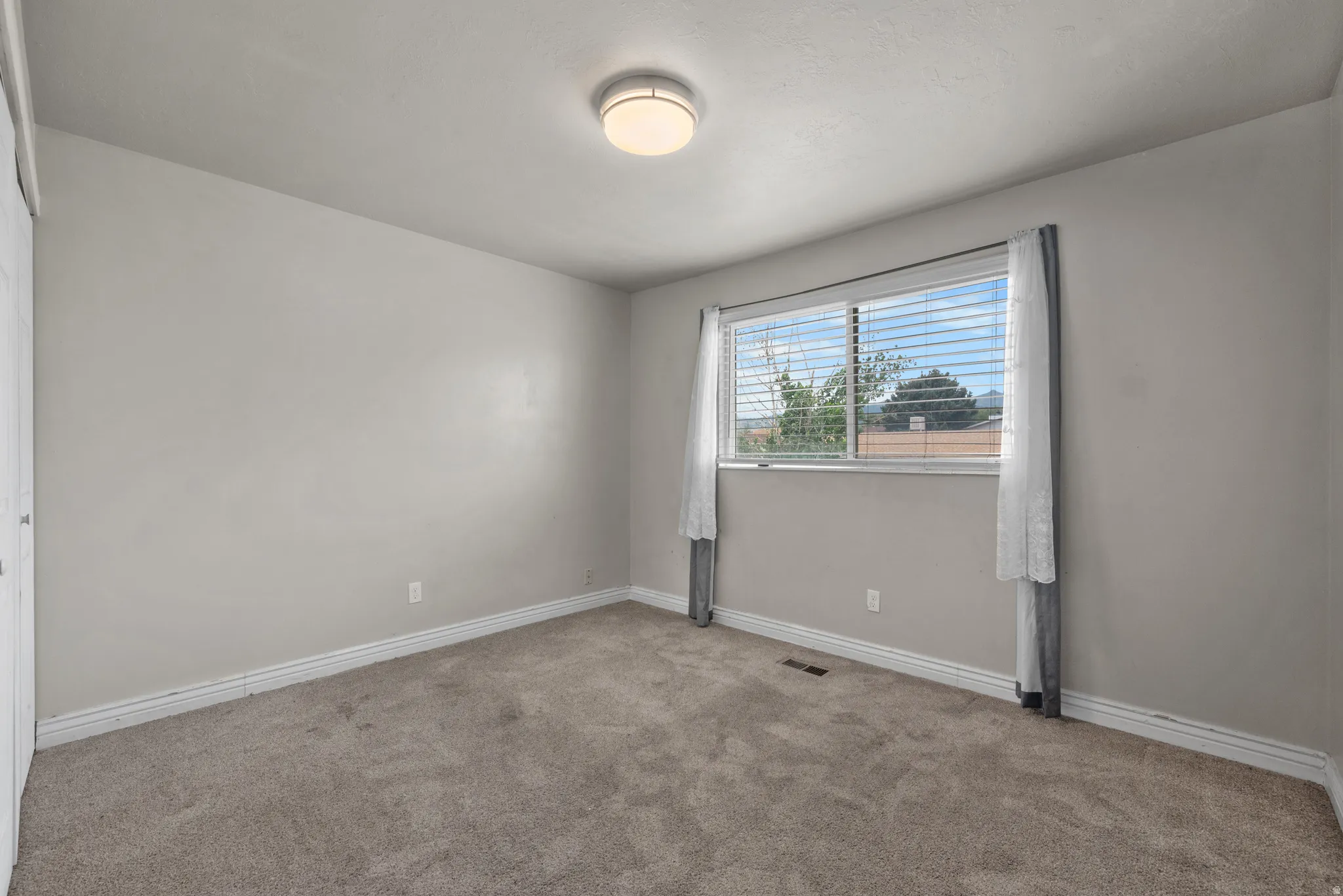 Neutral-toned carpeting, light gray wall finishes, a single window with horizontal blinds, and a flush-mount ceiling light fixture