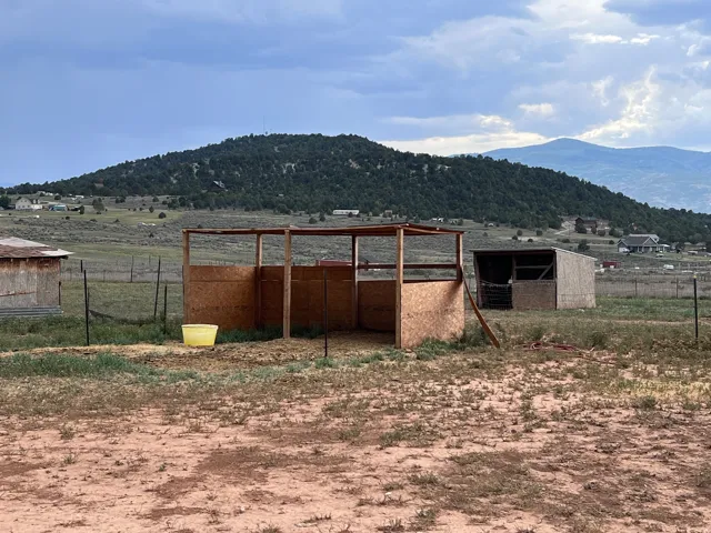 Outbuilding with wood-panel walls, secondary outbuilding, and expansive open terrain