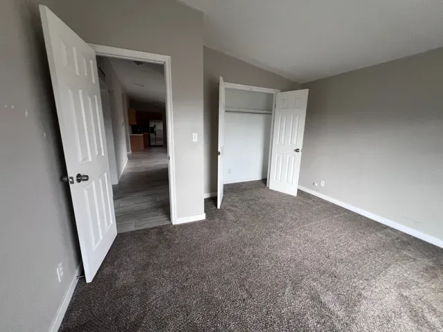 Neutral gray wall paint, dark gray carpeting, white trim, white paneled doors, and a built-in closet with a hanging rod