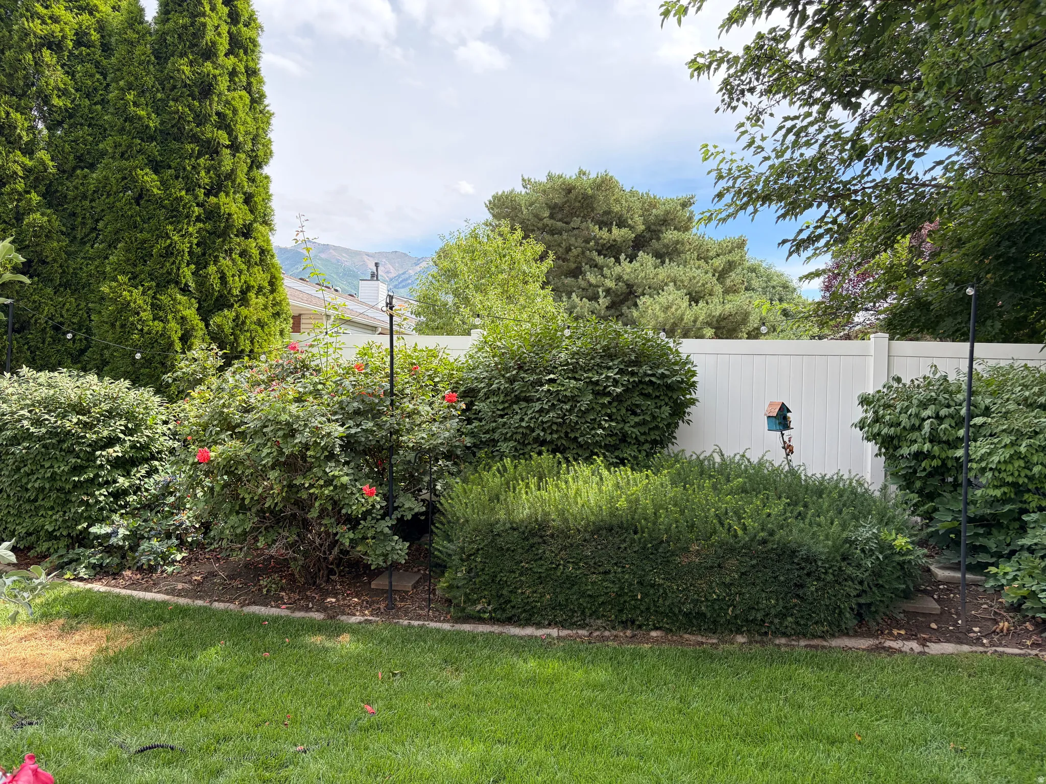 Manicured lawn with mature shrubs and trees