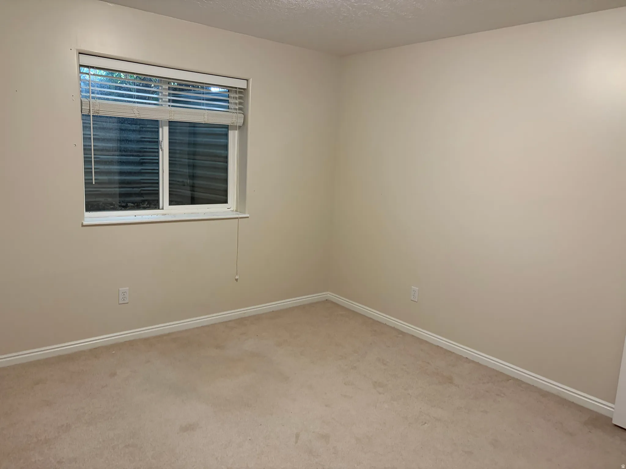 Neutral wall paint, plush carpet flooring, and a single window with blinds
