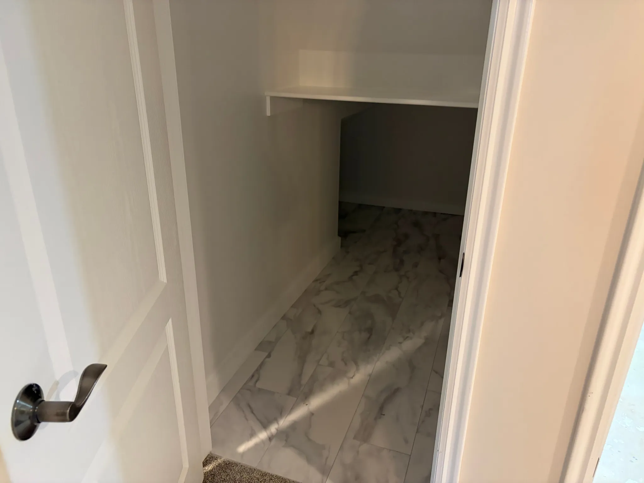 Built-in shelving, white paneled door, dark bronze door hardware, and patterned tile flooring