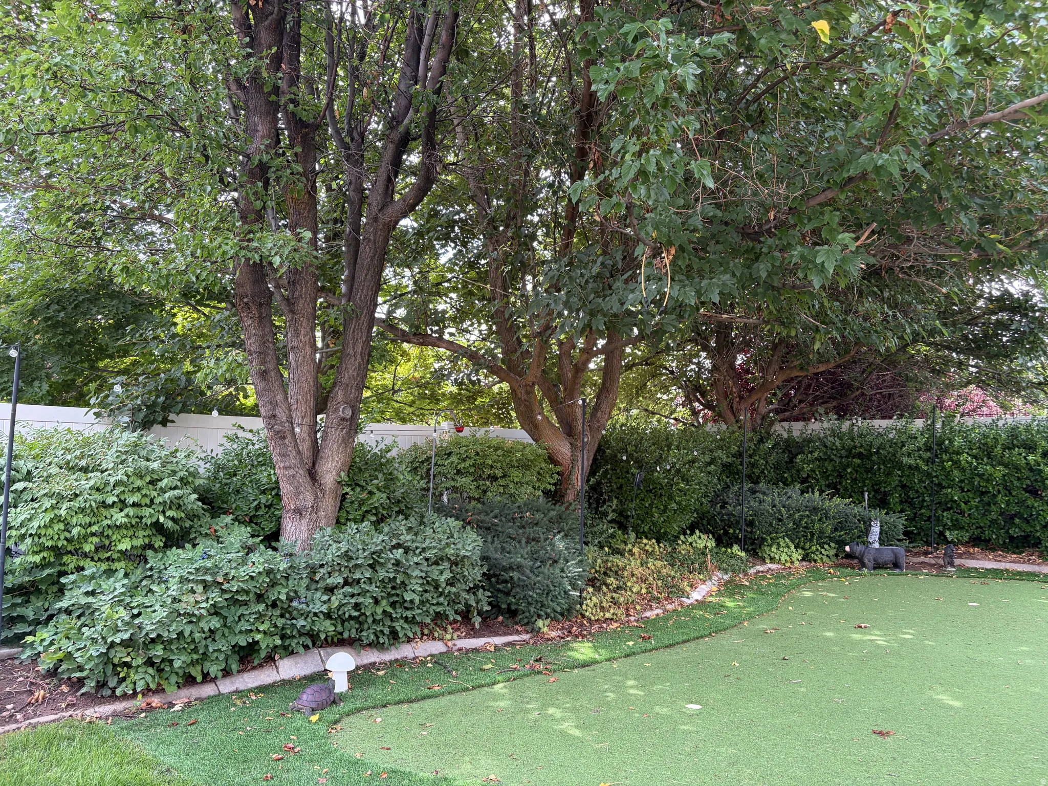 Putting green surface with a curved border, mature trees providing natural shade, established shrubbery, and a white privacy fence