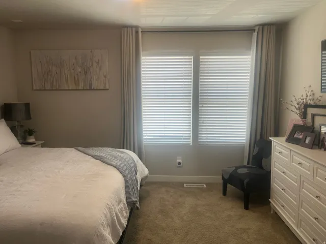 Dual windows with blinds, carpeted flooring, and a built-in ceiling light