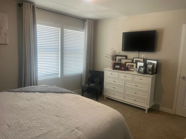 Dual windows with horizontal blinds, wall-mounted television, and carpeted flooring