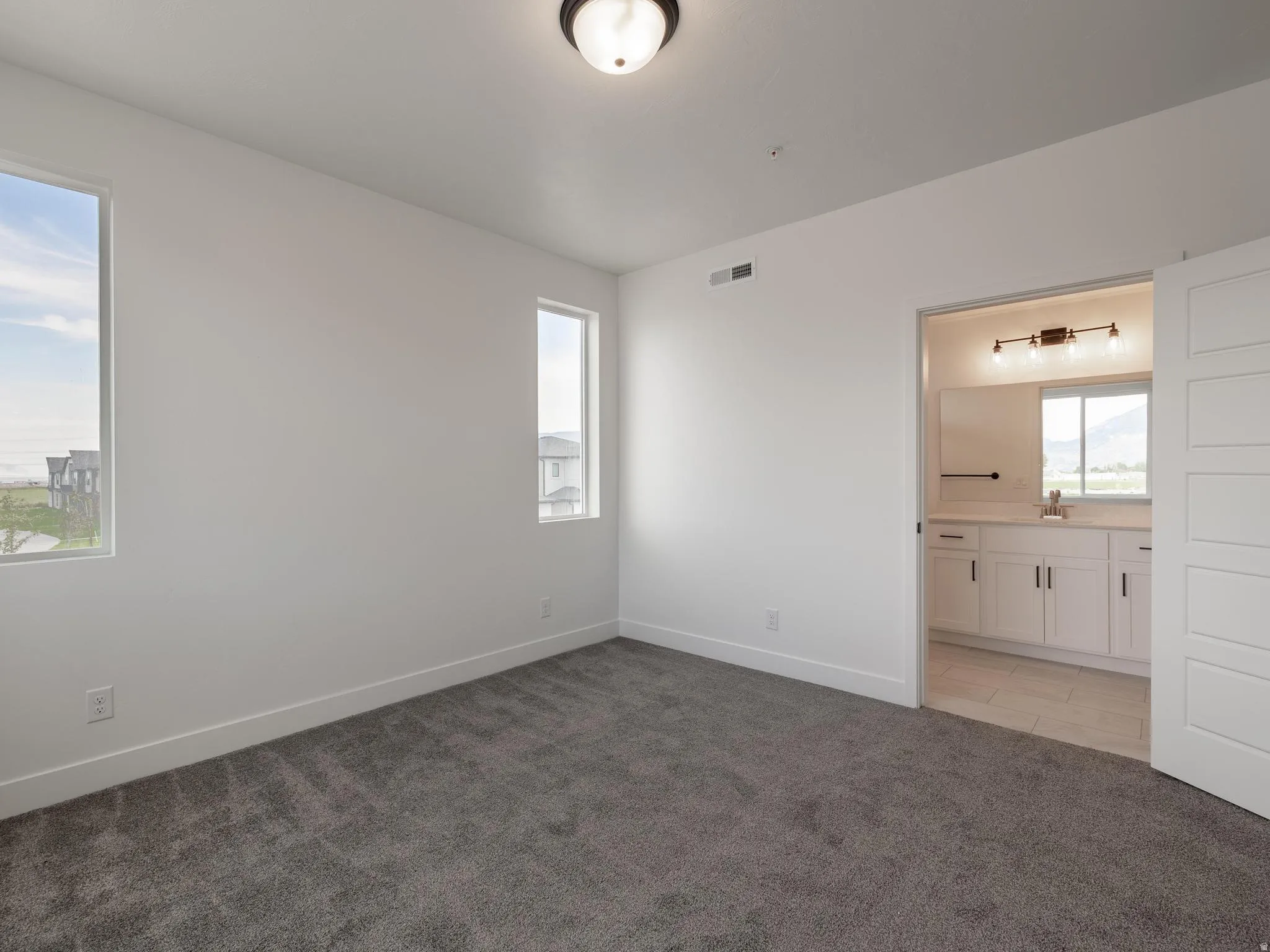 Plush carpet flooring, multiple windows, a ceiling-mounted light fixture, and a white interior door