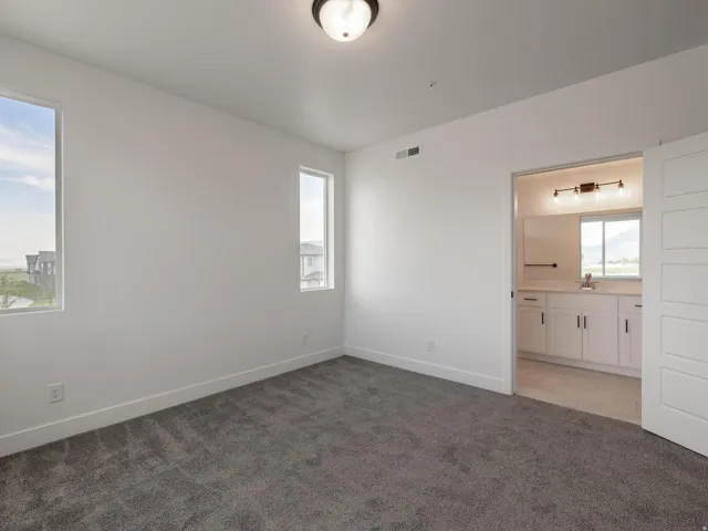 Plush carpet flooring, multiple windows, a ceiling-mounted light fixture, and a white interior door