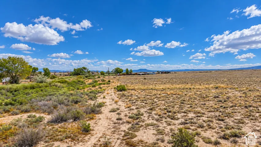 Expansive desert landscape featuring natural vegetation and distant mountain ranges under a clear sky