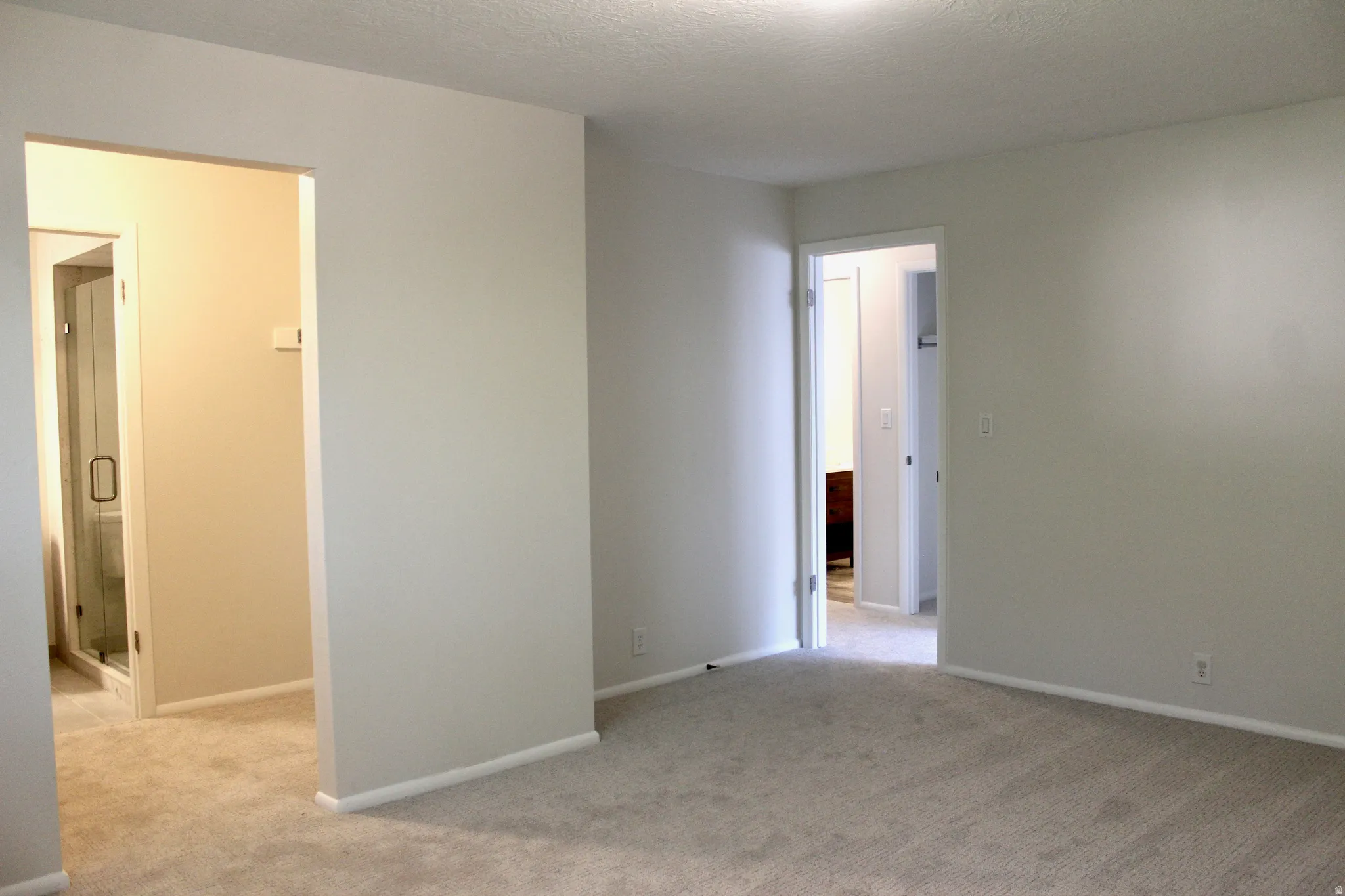 Neutral-toned carpet flooring