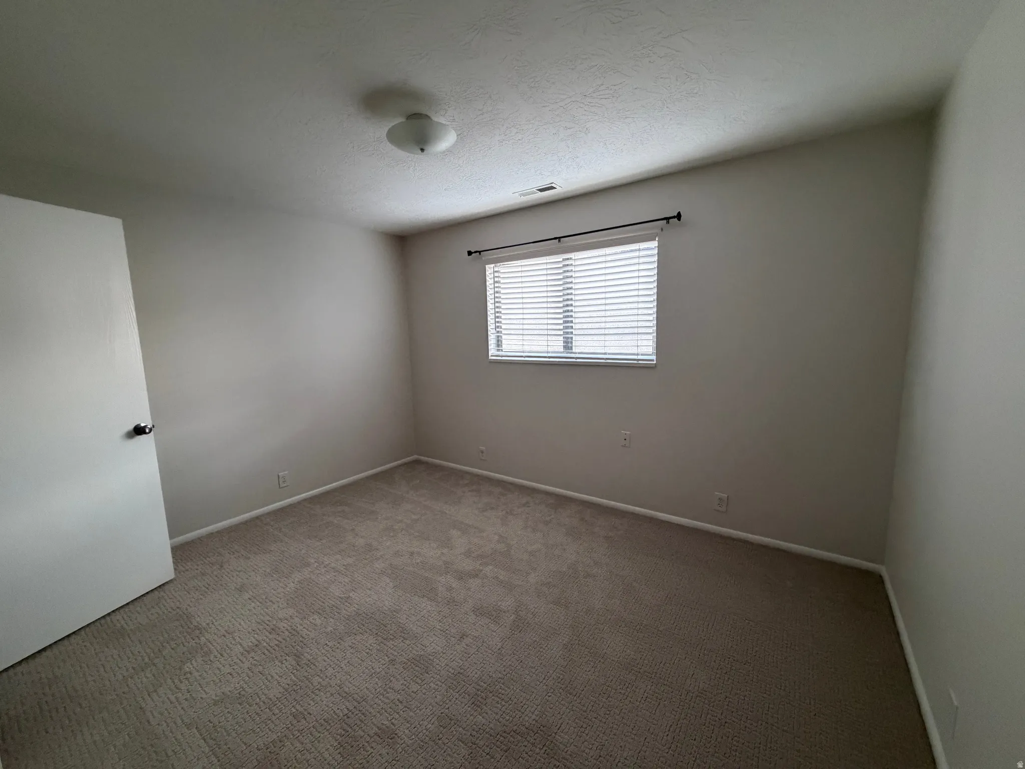 Neutral wall color, carpeted flooring, window with blinds, flush mount ceiling light fixture, white door